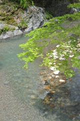 清流