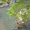 清流