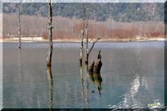 上高地