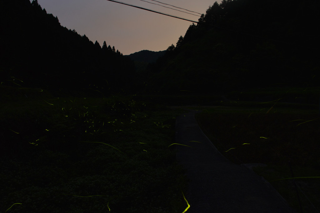 初の試み♪