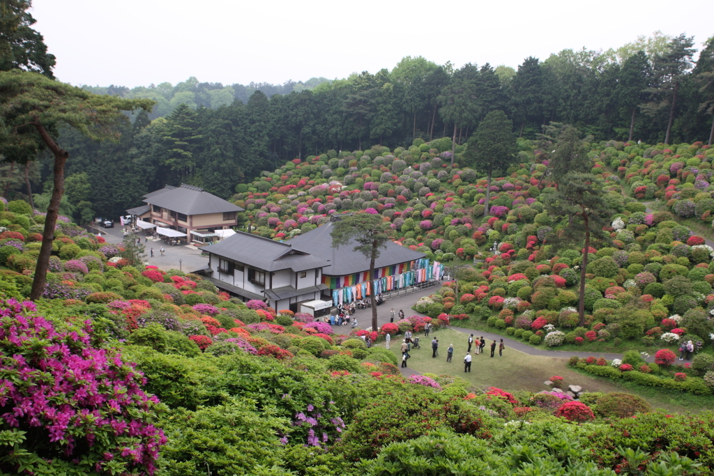 塩船観音寺