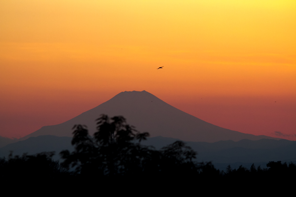 富士山夕景