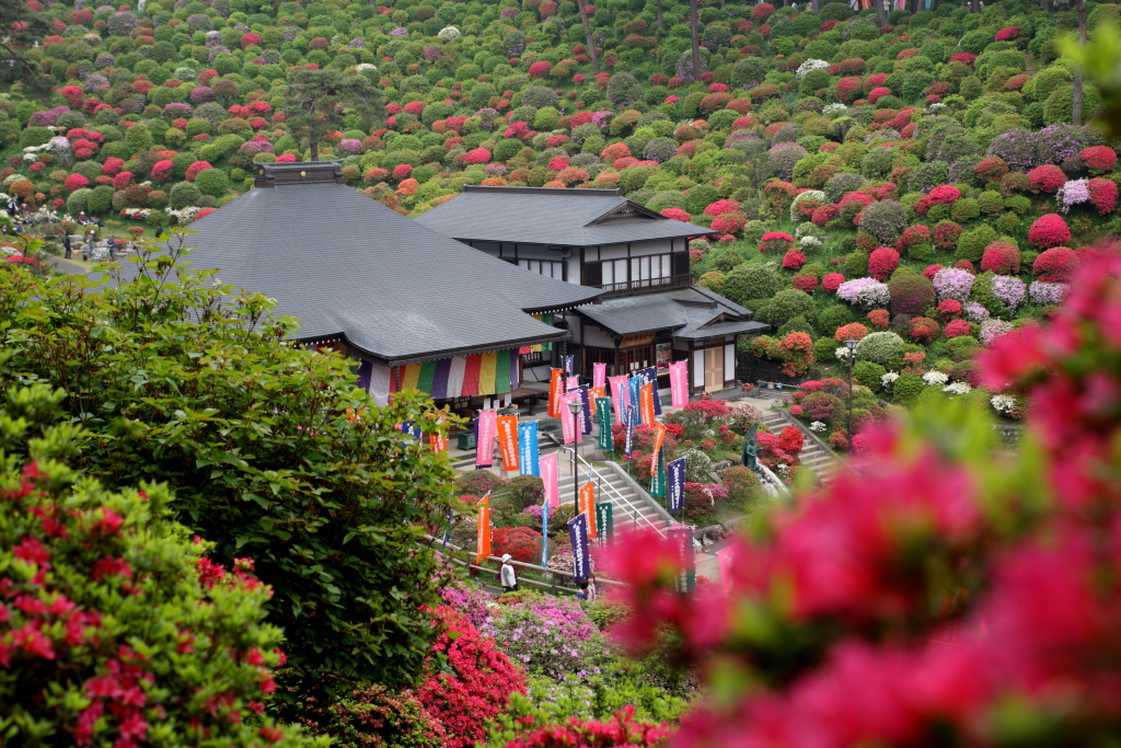 塩船観音寺