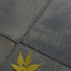 一片