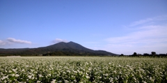 蕎麦畑と筑波山