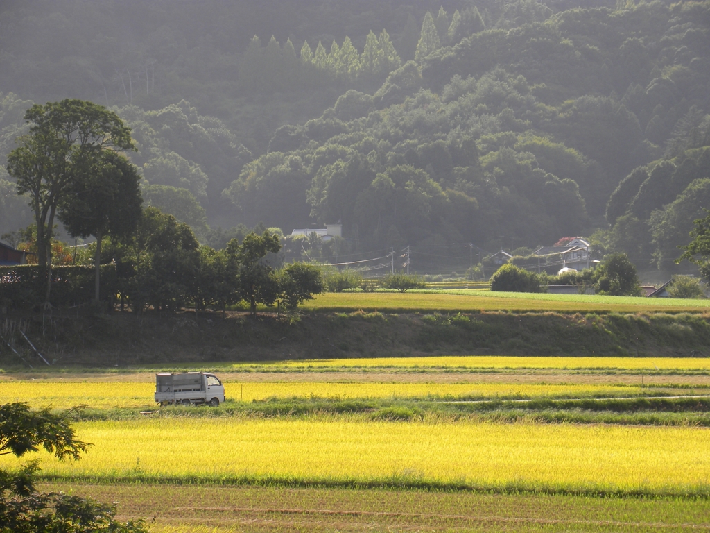 軽トラのある風景