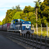 臨海鉄道