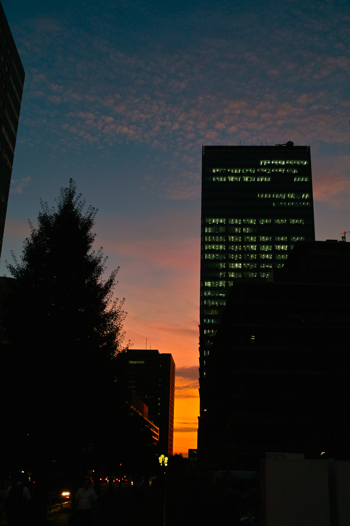 大手町の夕暮れ