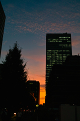大手町の夕暮れ