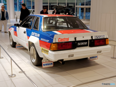 S110 240RS(1)