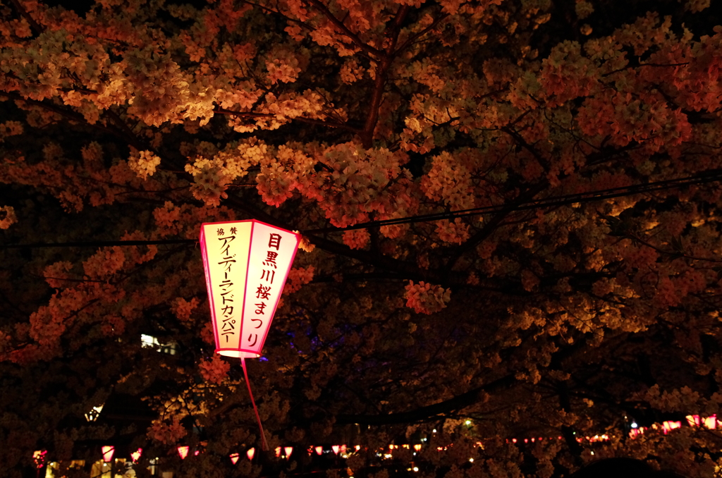 目黒川