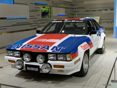 S110 240RS(1)