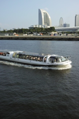 シーバス
