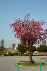 浦島公園