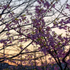 夕陽のグラウンド(2)