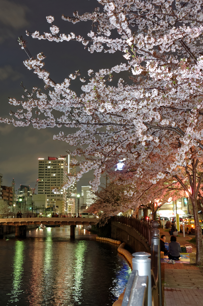 夜桜と小さなランドマーク