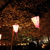 目黒川