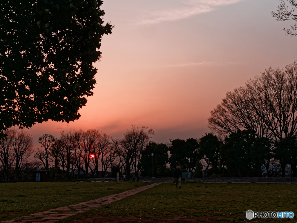 野毛山の夕日