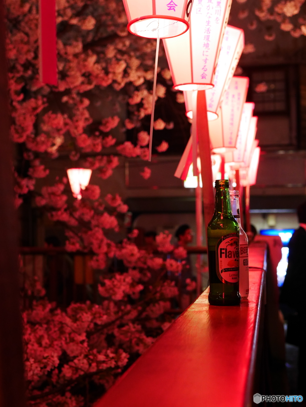 夜桜bar