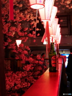 夜桜bar