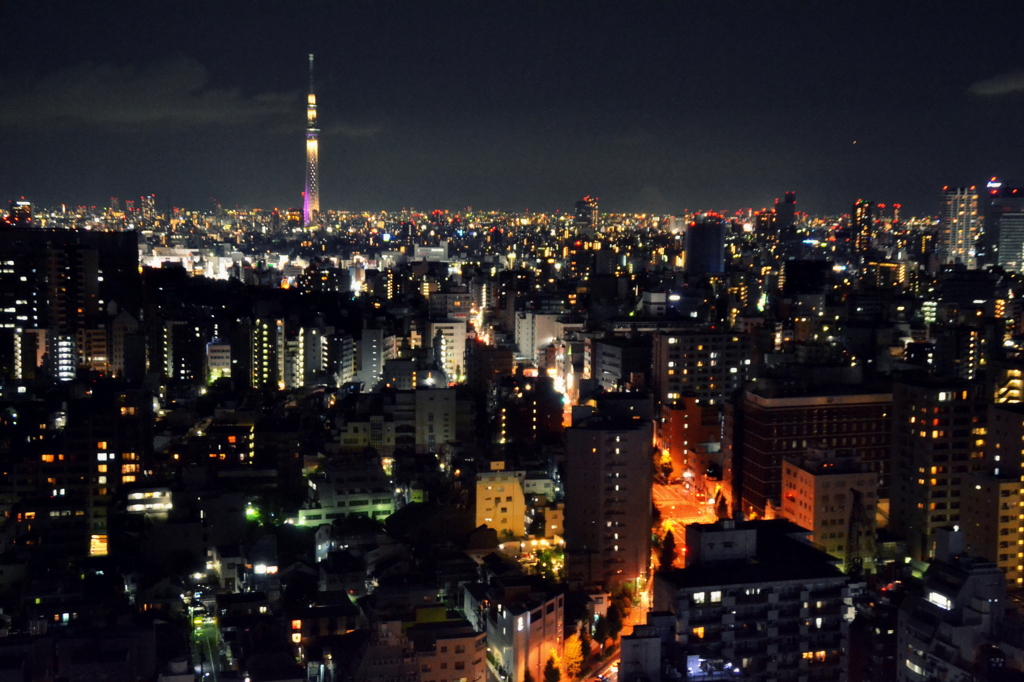 東京の夜