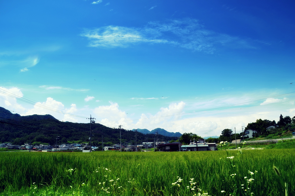 広がる、青、蒼。