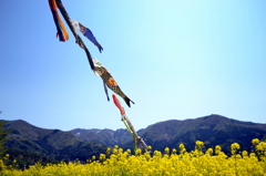 5月5日こどもの日