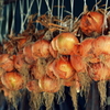 野菜