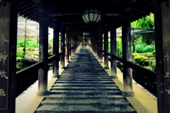 天空に繁る寺