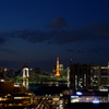 テレコムセンターからの夜景