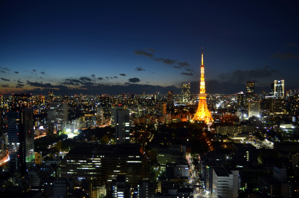 世界貿易センターより東京タワー#4