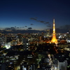 世界貿易センターより東京タワー#4