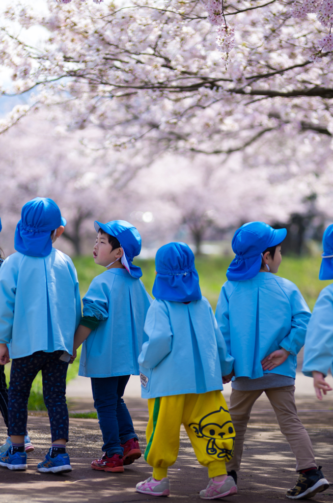 桜遠足♪