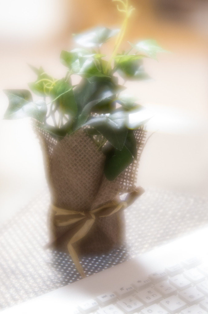 LENSBABY Velvet56