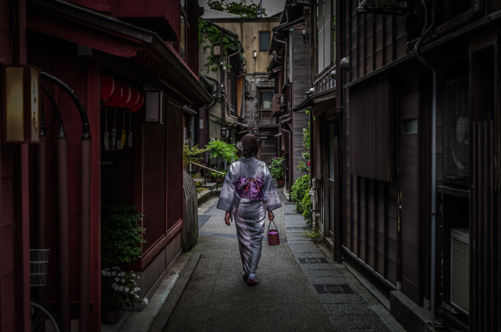 藤紫