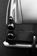 Fairlady(M)