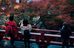 紅葉狩り