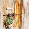 planter