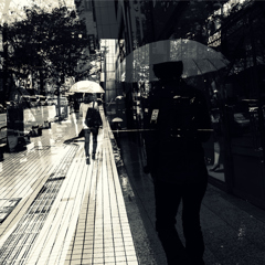 違う日の雨