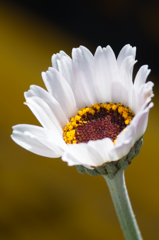 IMGP0902