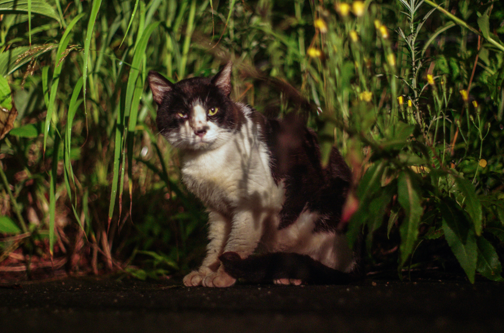 IMGP0305