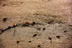 枯葉散る今は秋