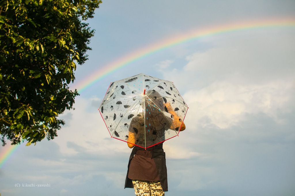雨上がり虹を見上げて By きくちやすし Id 写真共有サイト Photohito