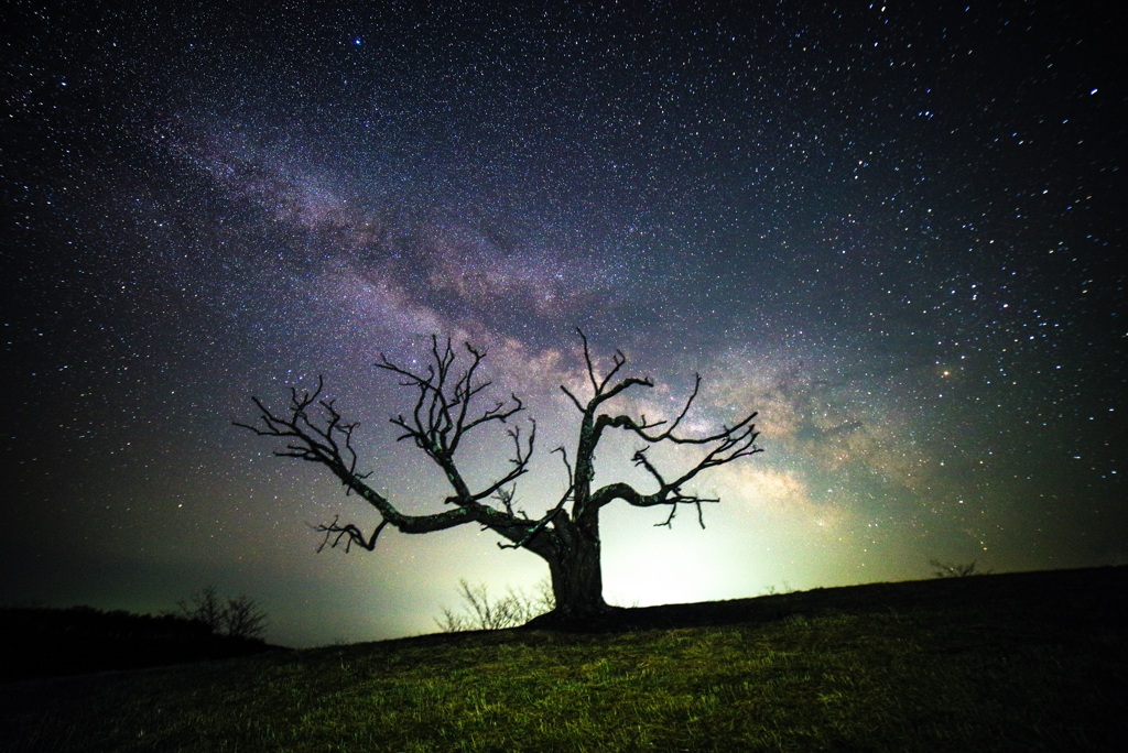 Under the starry sky