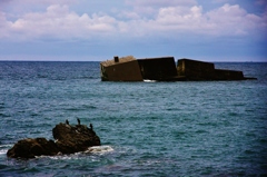 言葉無く語る姿