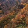 南川目の紅葉