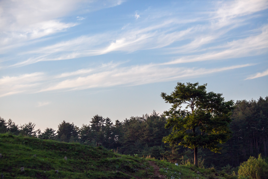 夏の空