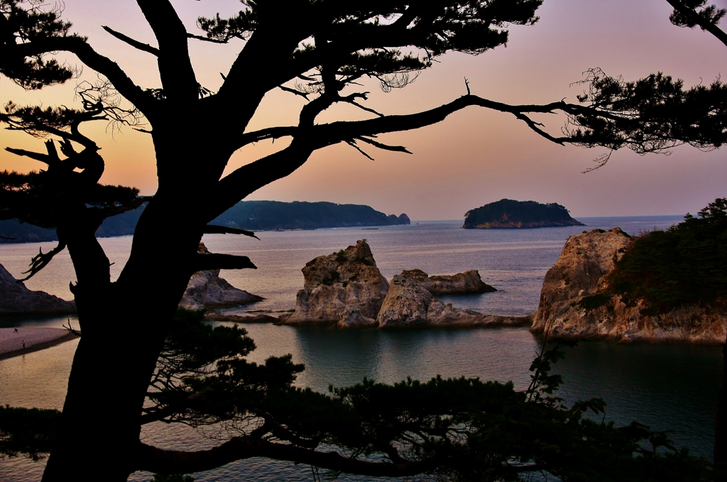 松より望む極楽浄土