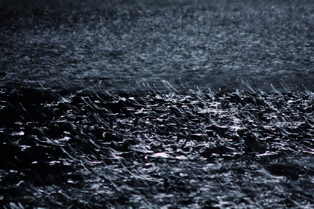 月光を浴びざわめく水面のよう