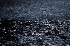 月光を浴びざわめく水面のよう